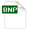 archivo en formato bnp