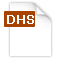 dhs archivo de formato
