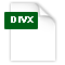 フォーマットファイル DivX