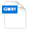 フォーマットファイル gm81