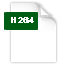 format file h264